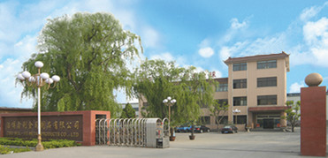 Enterprise the advantages of online promotion site